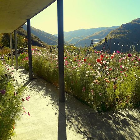 Betegi Guest House Mestia Dış mekan fotoğraf
