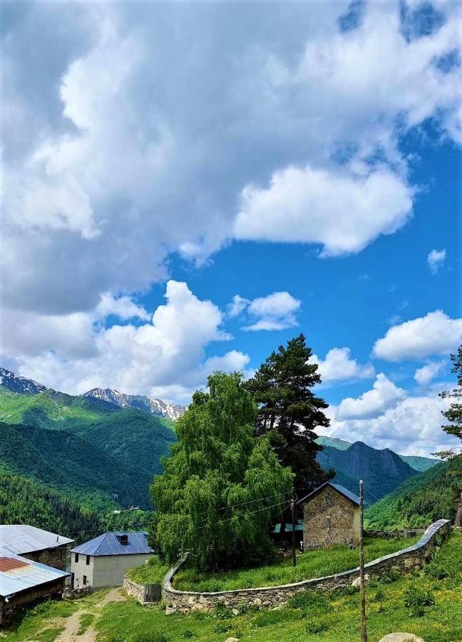 Betegi Guest House Mestia Dış mekan fotoğraf