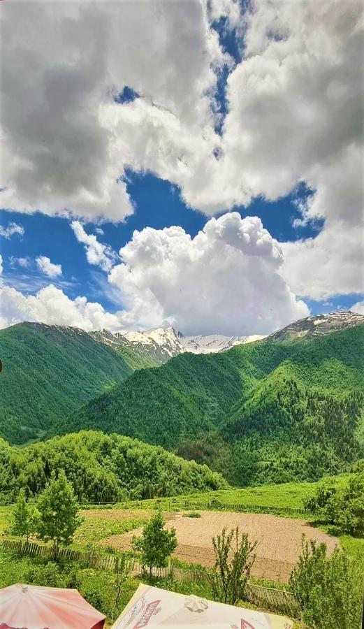 Betegi Guest House Mestia Dış mekan fotoğraf
