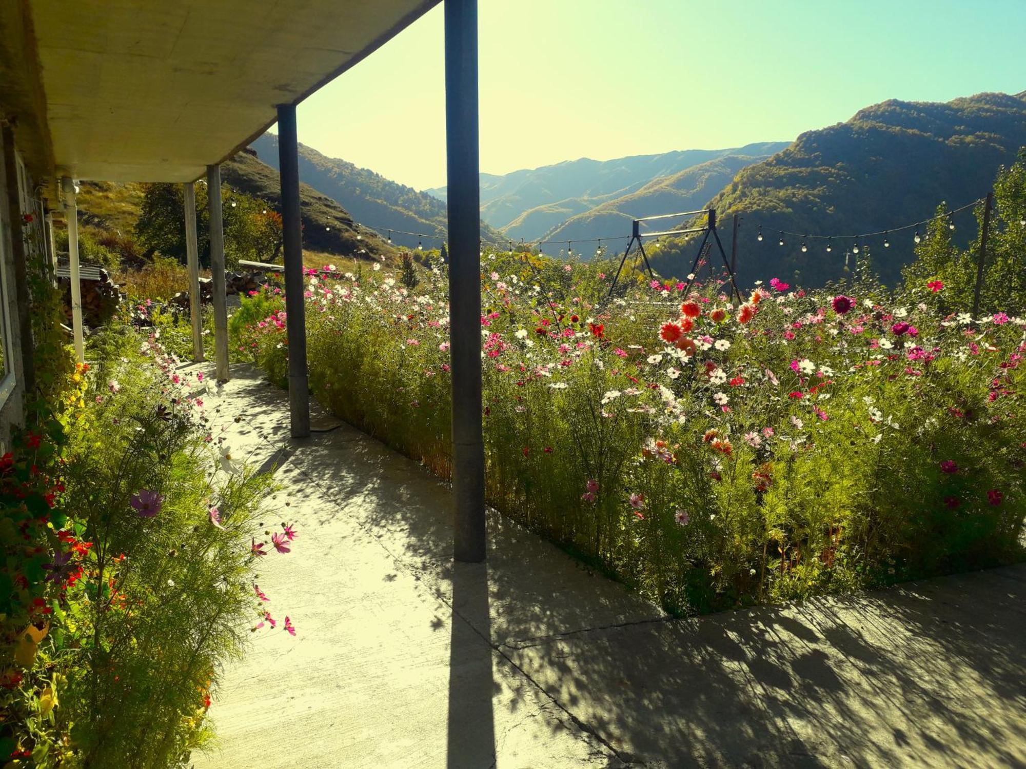 Betegi Guest House Mestia Dış mekan fotoğraf